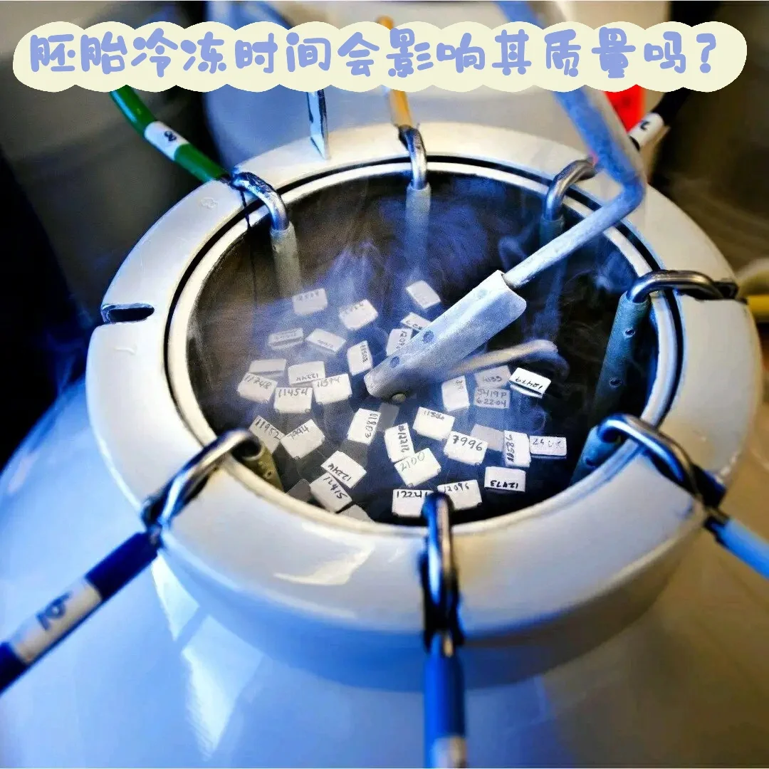 冷冻时间影响胚胎质量吗?,最正规的代孕公司