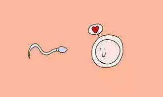 2026安徽省立医院做试管婴儿全流程收费明细表有吗？