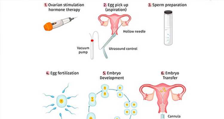 合肥自精供卵机构怎么样,2026年合肥安医大高龄女性做试管婴儿的成功率高吗？